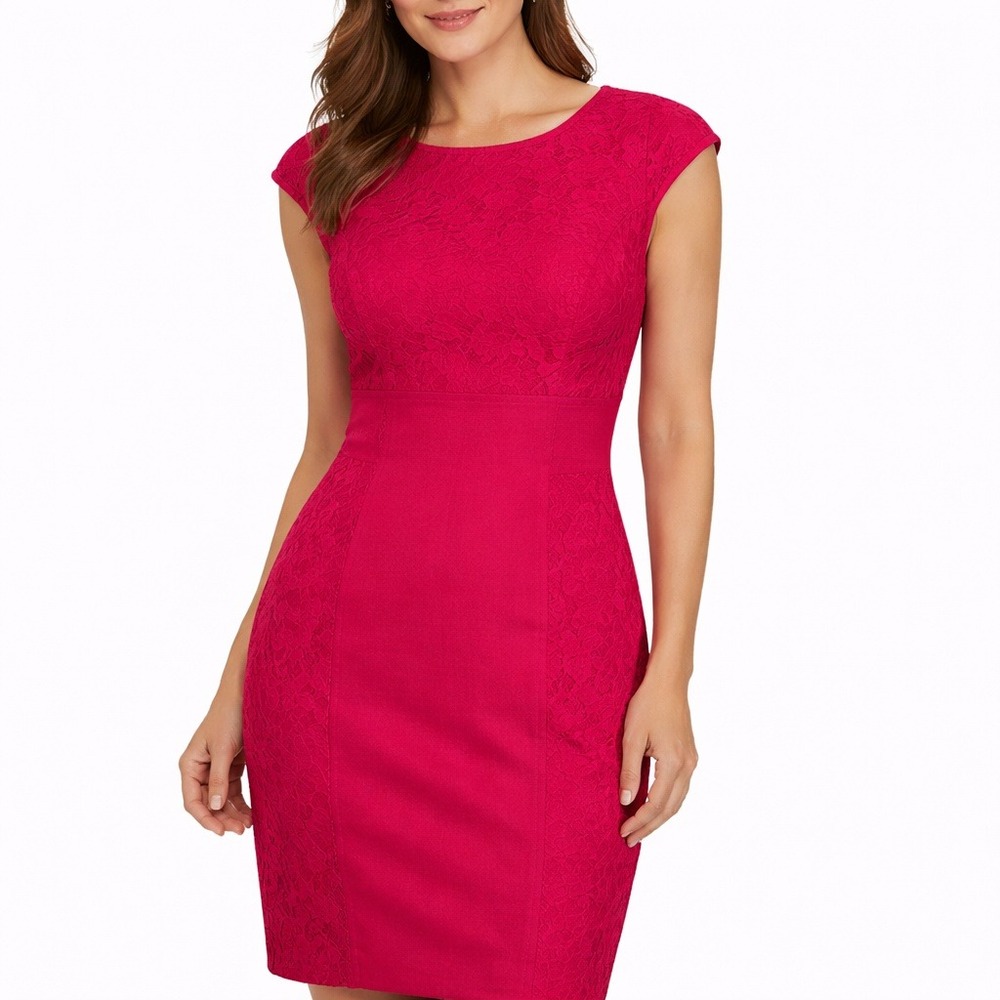 Antonio Melani Pink Lace Cap Sleeve Sheath Dress Size 2 5190M513